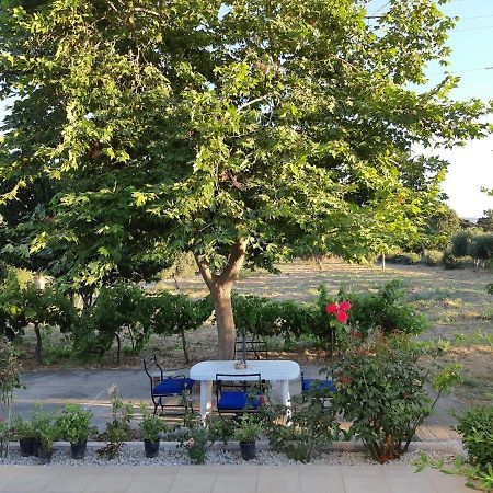 Swan House Panoramic View - Near The Sea Villa Zipárion Екстериор снимка