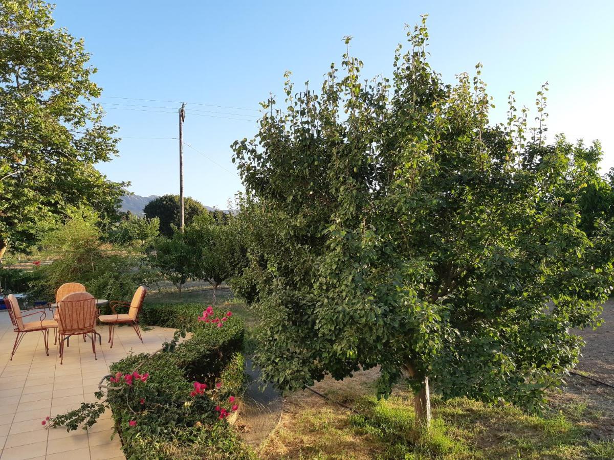 Swan House Panoramic View - Near The Sea Villa Zipárion Екстериор снимка
