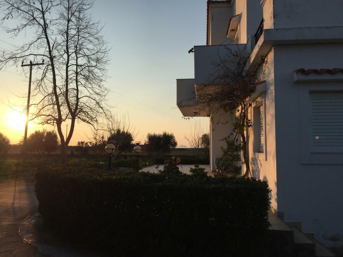 Swan House Panoramic View - Near The Sea Villa Zipárion Екстериор снимка